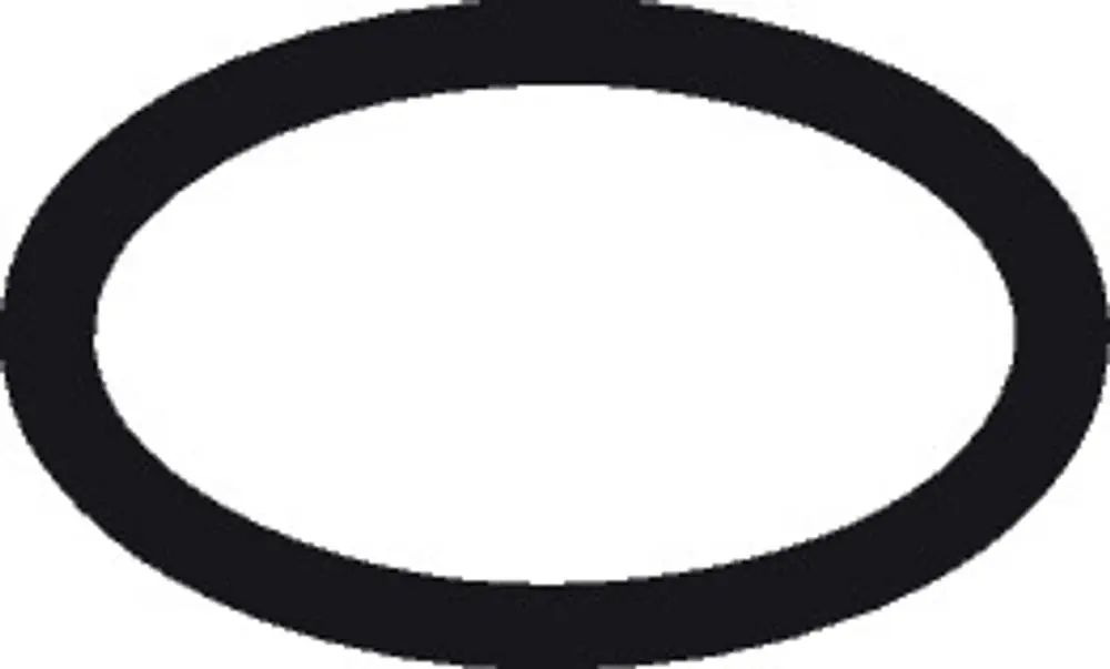 Schwarzer O-Ring auf weißem Hintergrund, typisches Dichtungsprodukt. Herstellersymbol der Marke Hansgrohe möglicherweise sichtbar.